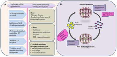 Shoot the Message, Not the Messenger—Combating Pathogenic Virulence in Plants by Inhibiting Quorum Sensing Mediated Signaling Molecules